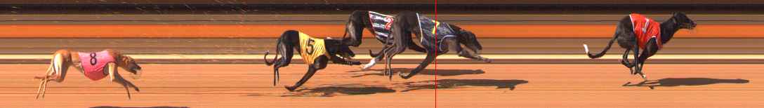 Photo finish for Ballarat Race 8