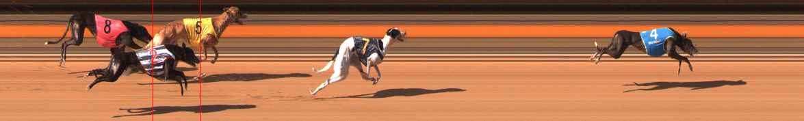 Photo finish for Ballarat Race 9