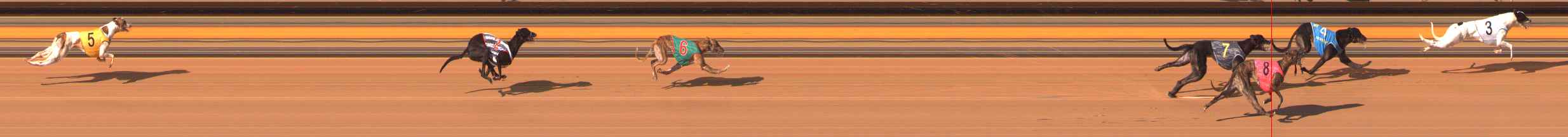 Photo finish for Ballarat Race 11