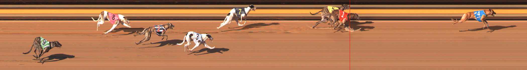 Photo finish for Ballarat Race 13