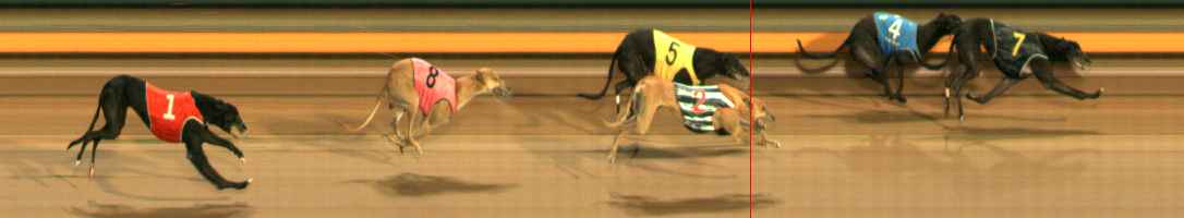 Photo finish for Ballarat Race 5