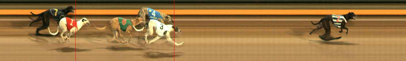 Photo finish for Ballarat Race 6