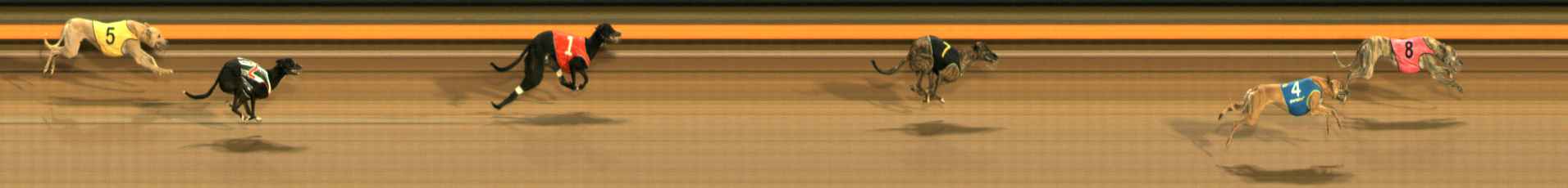 Photo finish for Ballarat Race 7