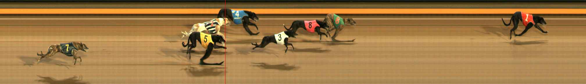 Photo finish for Ballarat Race 9