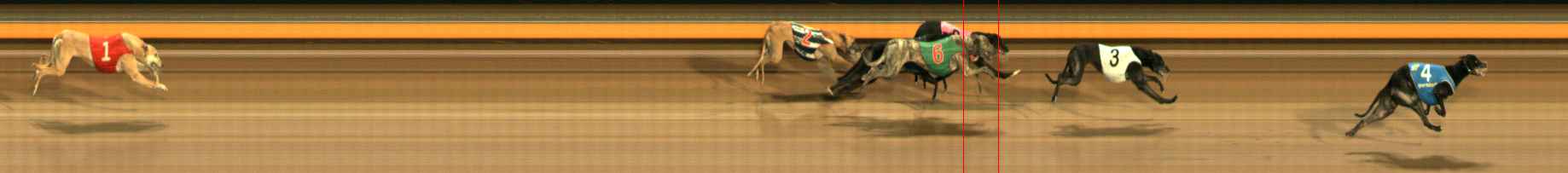 Photo finish for Ballarat Race 10