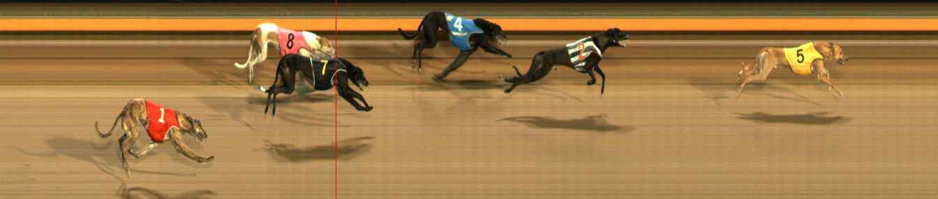 Photo finish for Ballarat Race 11