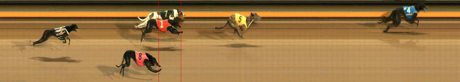Photo finish for Ballarat Race 12