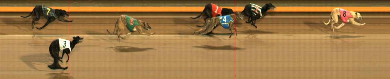 Photo finish for Ballarat Race 13