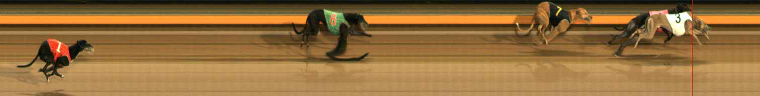 Photo finish for Ballarat Race 14