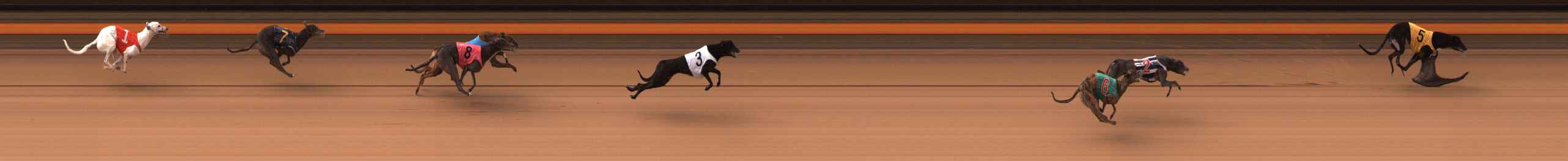 Photo finish for Ballarat Race 1