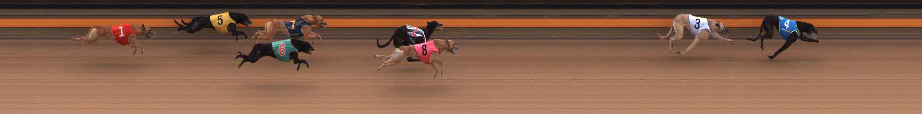 Photo finish for Ballarat Race 3