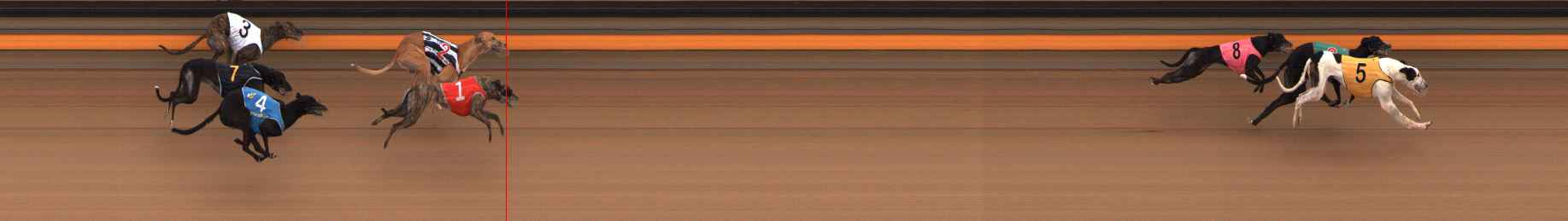 Photo finish for Ballarat Race 8