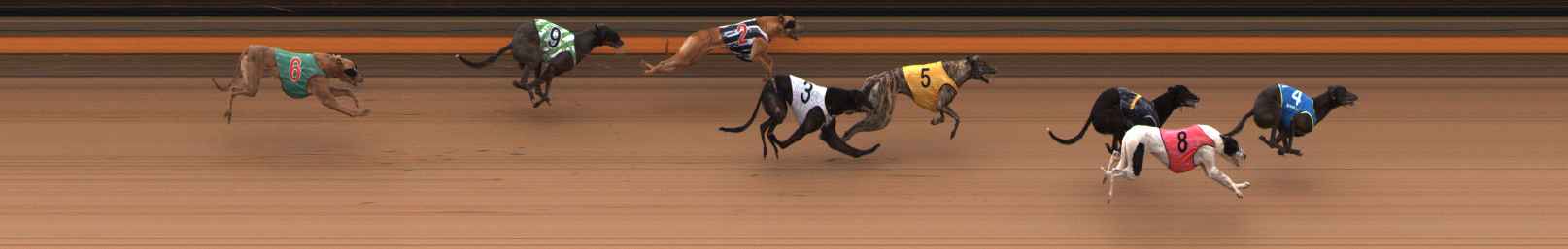Photo finish for Ballarat Race 10