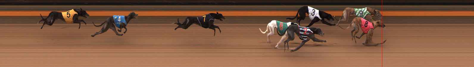 Photo finish for Ballarat Race 11