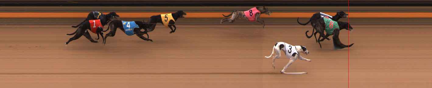 Photo finish for Ballarat Race 12
