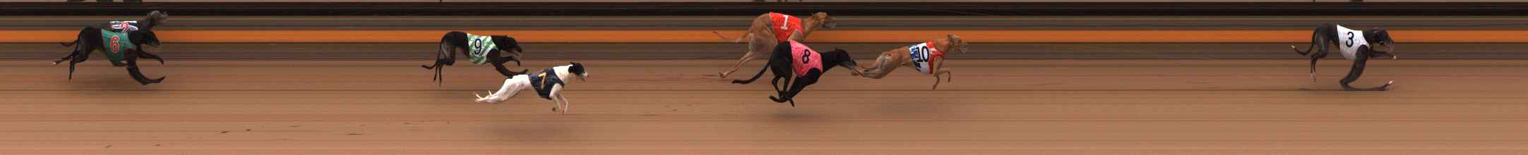 Photo finish for Ballarat Race 14