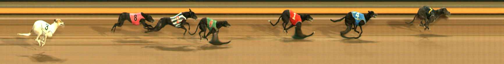 Photo finish for Ballarat Race 9