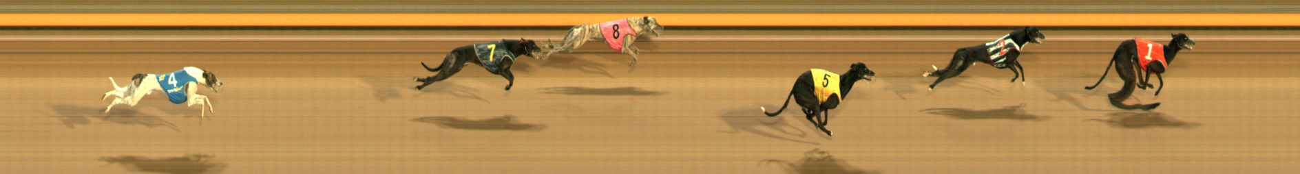 Photo finish for Ballarat Race 10