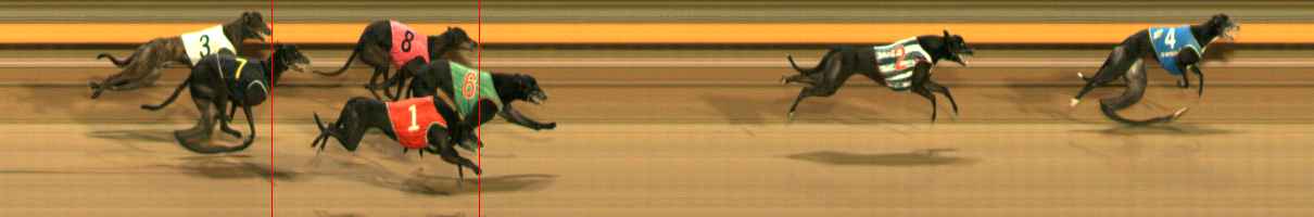Photo finish for Ballarat Race 12