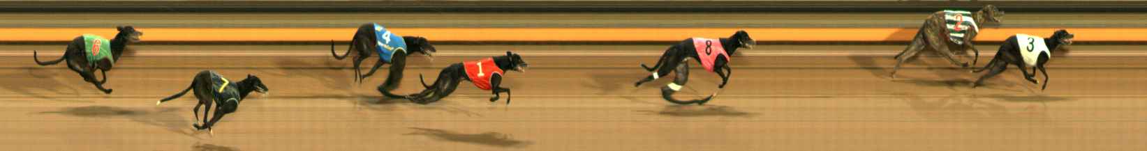 Photo finish for Ballarat Race 13