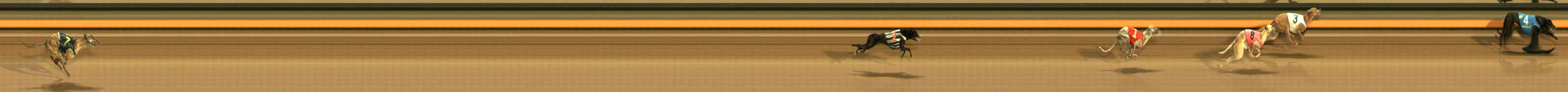 Photo finish for Ballarat Race 14