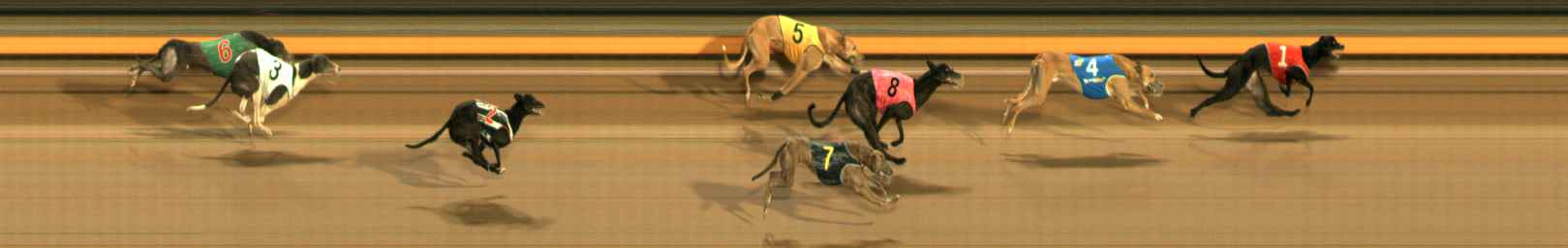 Photo finish for Ballarat Race 6