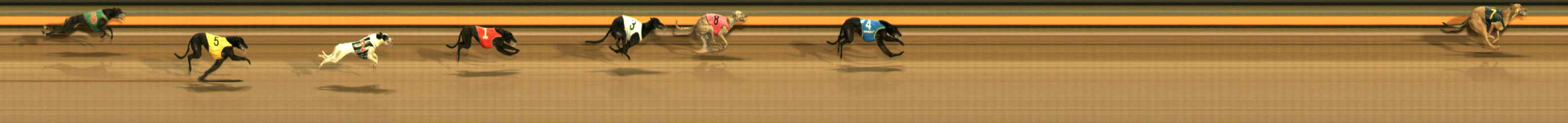 Photo finish for Ballarat Race 7