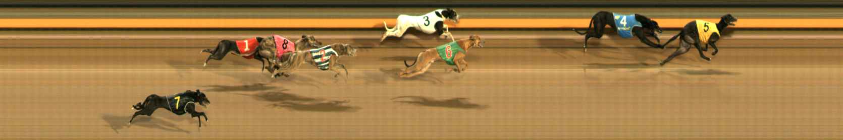 Photo finish for Ballarat Race 8