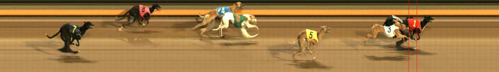 Photo finish for Ballarat Race 9
