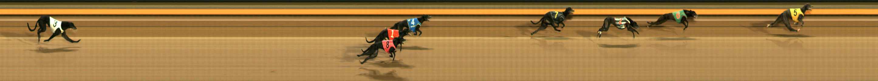 Photo finish for Ballarat Race 10