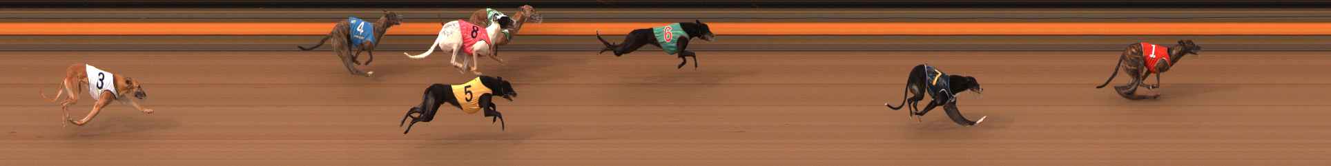 Photo finish for Ballarat Race 2