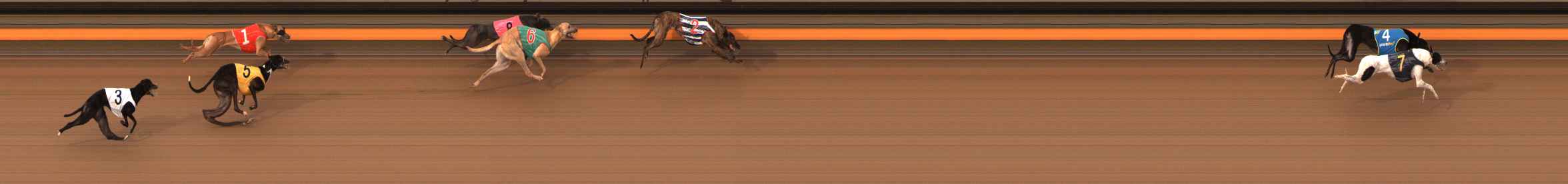 Photo finish for Ballarat Race 5