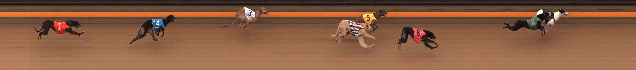 Photo finish for Ballarat Race 6
