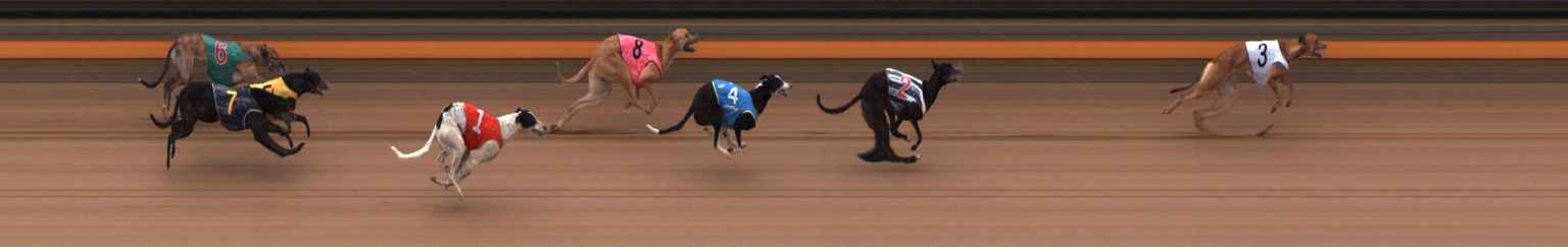 Photo finish for Ballarat Race 10