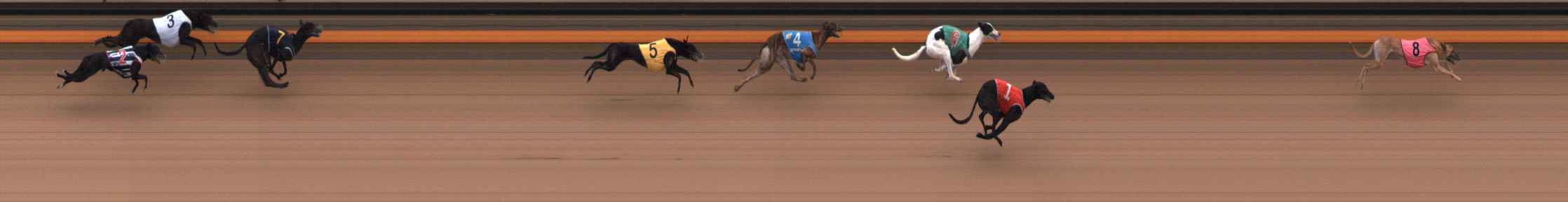 Photo finish for Ballarat Race 11
