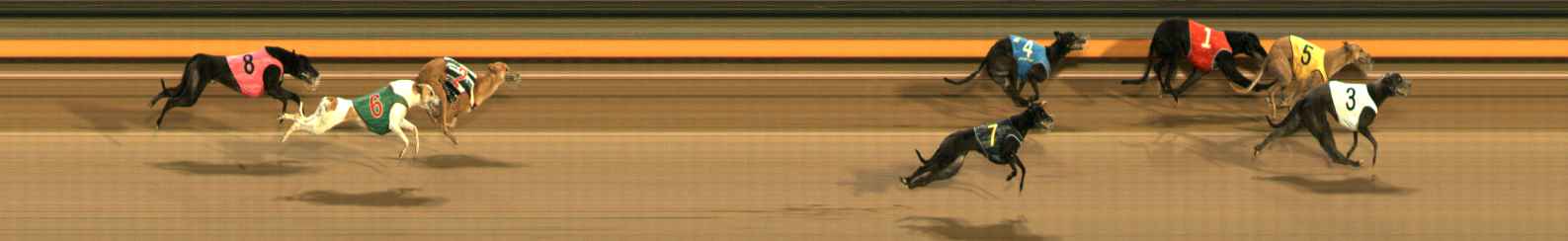 Photo finish for Ballarat Race 12