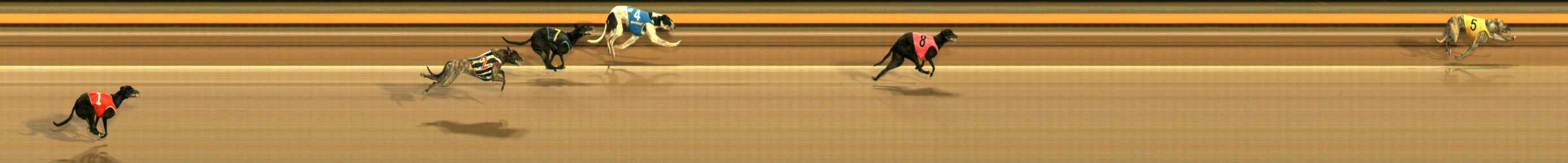 Photo finish for Ballarat Race 1