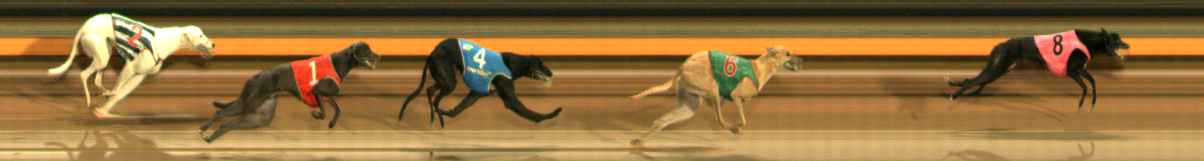 Photo finish for Ballarat Race 3