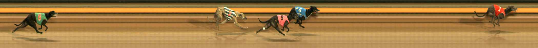 Photo finish for Ballarat Race 4