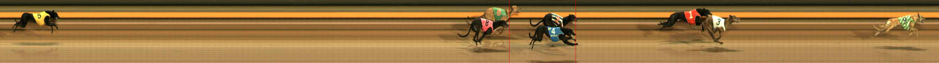 Photo finish for Ballarat Race 7