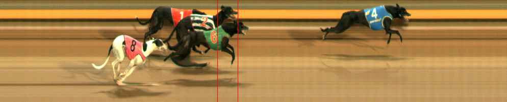 Photo finish for Ballarat Race 9