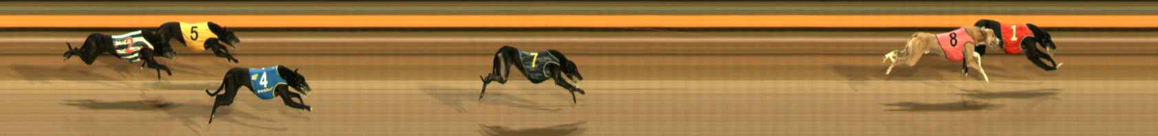 Photo finish for Ballarat Race 10