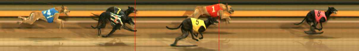 Photo finish for Ballarat Race 11