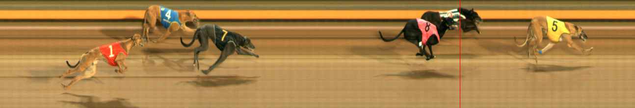 Photo finish for Ballarat Race 12