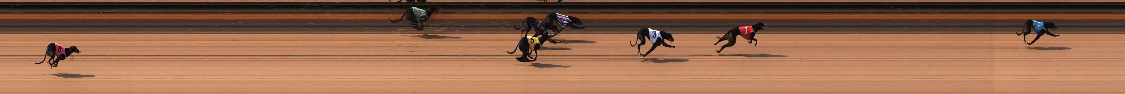 Photo finish for Ballarat Race 2