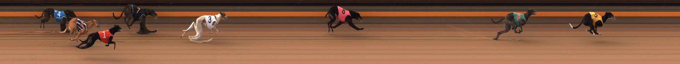 Photo finish for Ballarat Race 4
