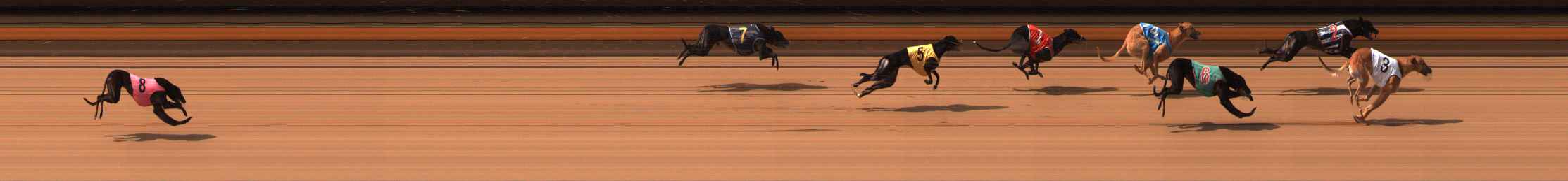 Photo finish for Ballarat Race 5