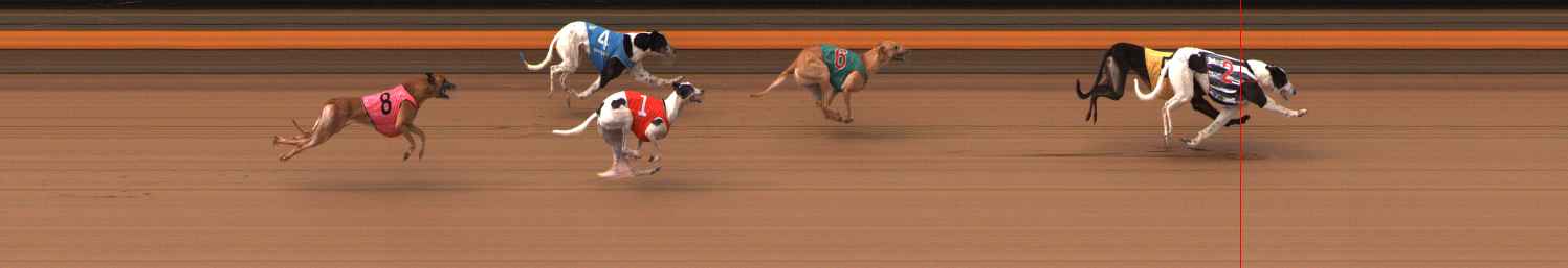 Photo finish for Ballarat Race 6