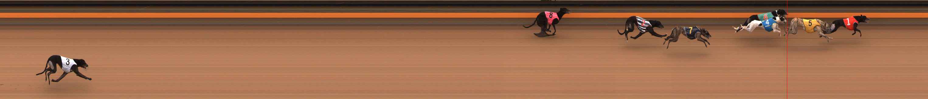 Photo finish for Ballarat Race 8