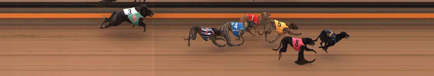 Photo finish for Ballarat Race 10